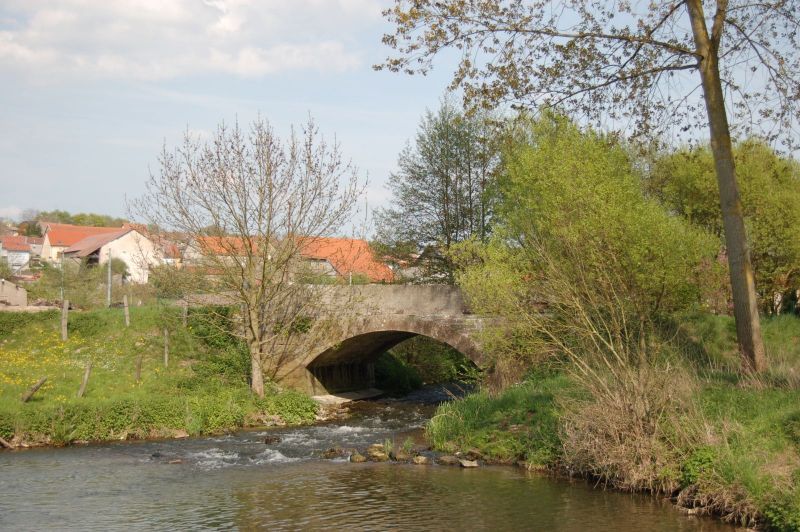 Nettoyage des bords de Sarre - automne 2015