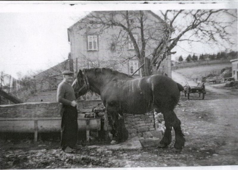 Grosse Auguste et son cheval