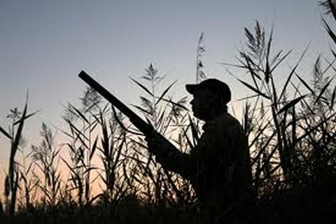 Chasseur